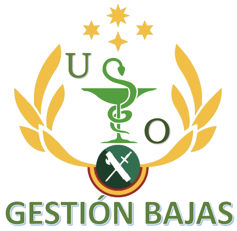 GESTIÓN SEGURO BAJAS
